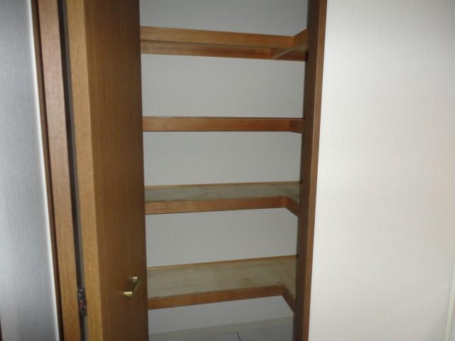 Receipt. Storage shelves in the kitchen. Spacious and has. This is useful likely to pantry.