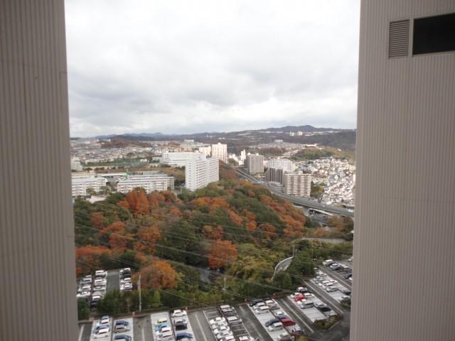 View photos from the dwelling unit. View from the site (December 2013) Shooting Shooting from the north Autumn leaves were very beautiful