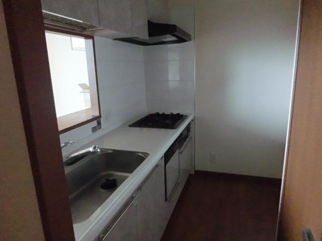Kitchen. Room (August 2013) Shooting water filter, Garbage dated Disuposa is convenient disposal