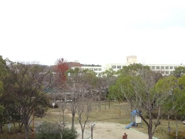 View photos from the dwelling unit. Landscape from the north balcony. Park is adjacent.