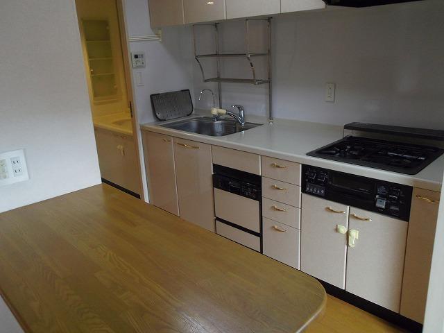 Kitchen. In two-burner stove, This is a system kitchen with a dishwasher! There is also counter, It is convenient!