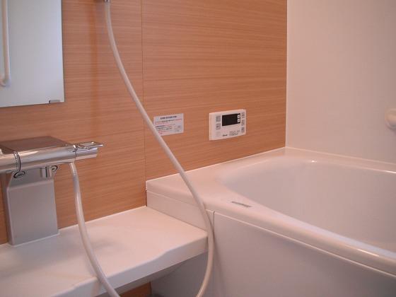 Same specifications photo (bathroom). Other issue areas