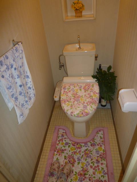 Toilet. Indoor (11 May 2013) Shooting