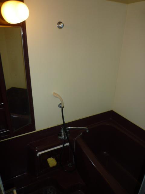Bathroom. Indoor (11 May 2013) Shooting