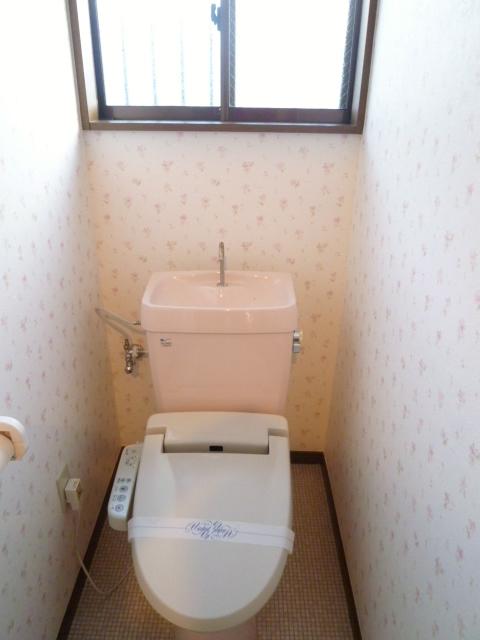 Toilet. Washlet mounting