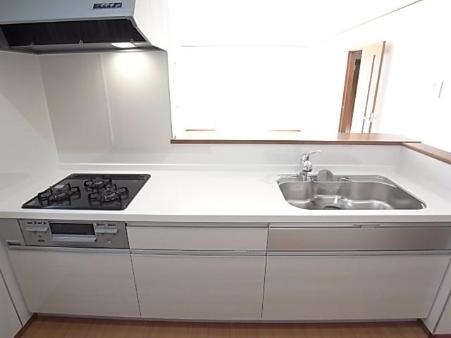 Same specifications photo (kitchen)