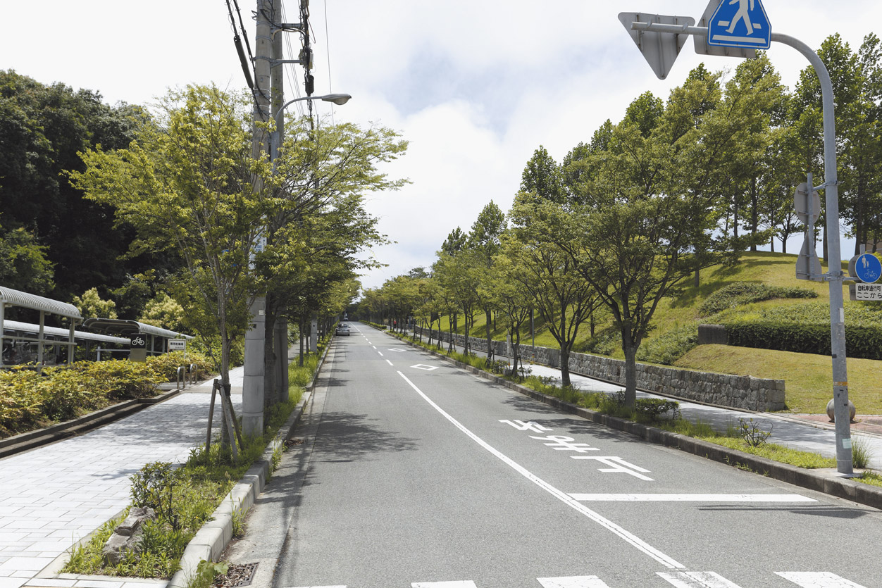 Streets around. Promenade leading to the 30m station to the promenade, Also refreshing mood of green many commute. It seems to have sprung vigor of the day with a little walk mood