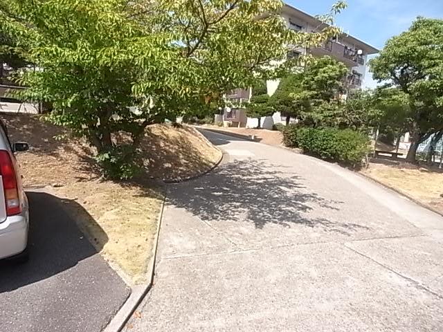 Other local