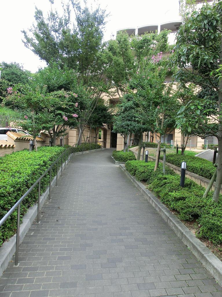 Entrance. Common areas