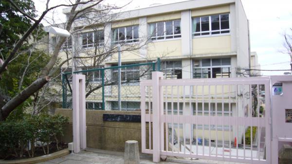 Primary school. 100m up to elementary school