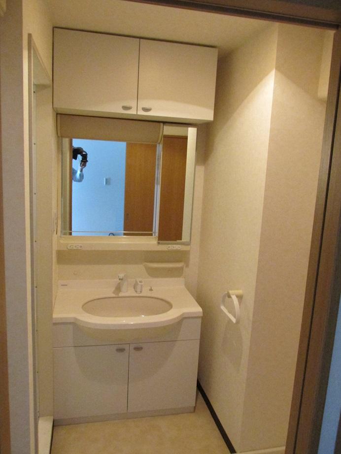 Wash basin, toilet. Indoor (September 2013) Shooting Shampoo is Dresser