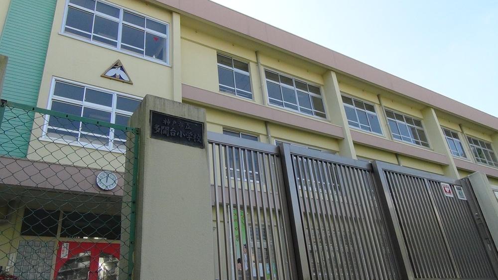 Primary school. Tamondai until elementary school 460m