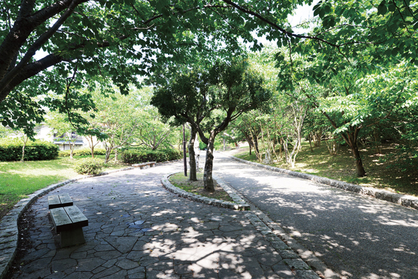 Surrounding environment. Hiraiso green space (walk 11 minutes ・ About 870m)