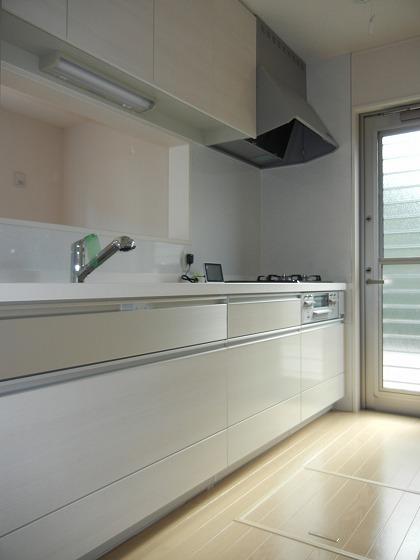 Same specifications photo (kitchen). Other issue areas