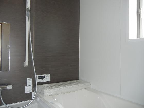 Same specifications photo (bathroom). Other issue areas