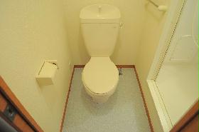 Toilet. How to use in the spacious loft is freely