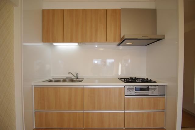 Kitchen. Indoor (11 May 2013) Shooting