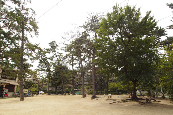 Surrounding environment. Matsunami Park (4-minute walk ・ About 290m)