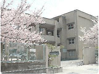 Primary school. Naruo to North Elementary School 565m