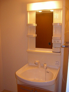 Washroom. Shampoo dresser