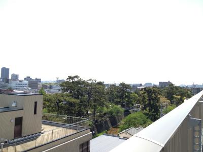 View photos from the dwelling unit. South view