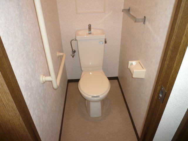 Toilet. Toilet with a handrail