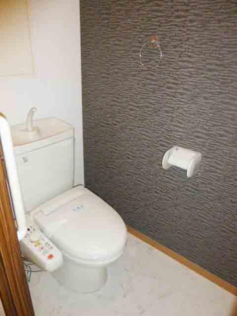 Toilet. Indoor (12 May 2013) Shooting