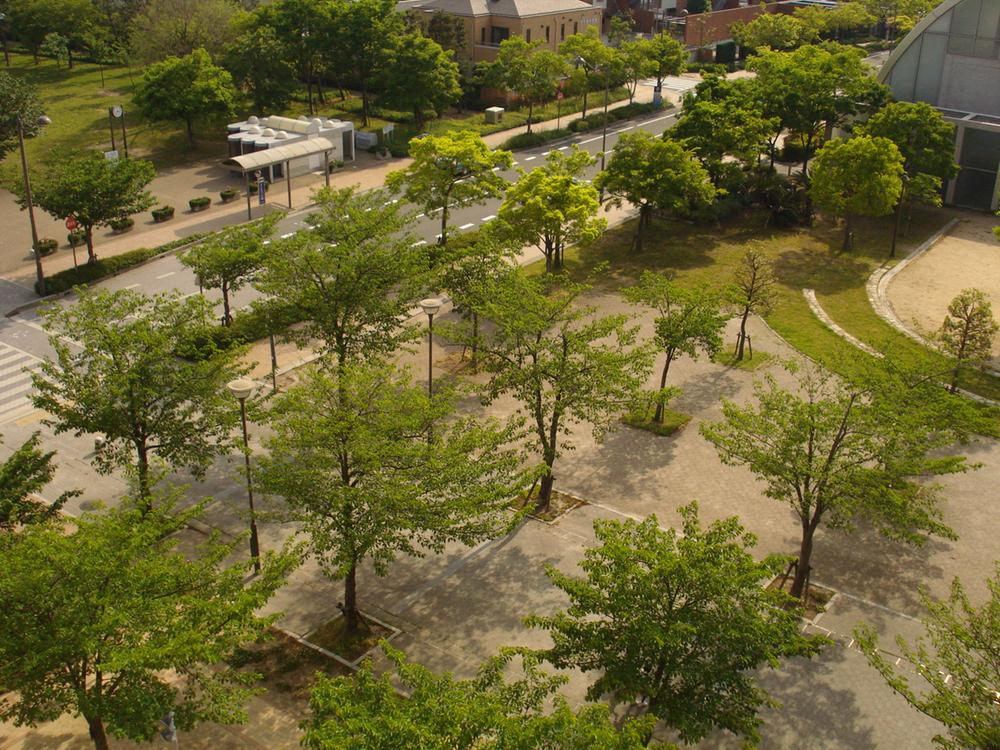 View photos from the dwelling unit. Local (May 2013) Shooting