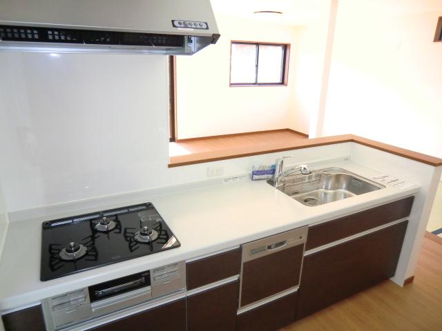 Kitchen. Local photo (kitchen) Slide storage! Water purifier with shower!  With dishwasher! 