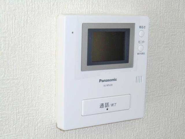 Security equipment. Local photos (color monitor intercom)