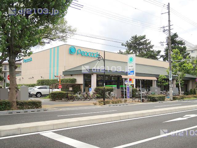 Supermarket. 912m until Daimarupikokku Koshien shop