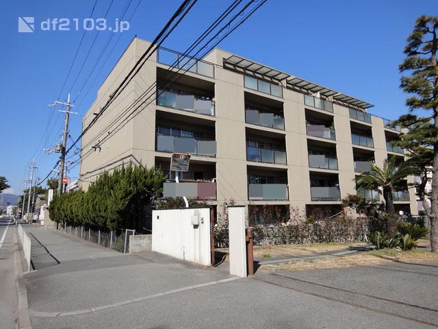 Local appearance photo. Showa is a 55-year July Built 5-story low-rise apartment. Mukogawa also is an environment close to enjoy nature