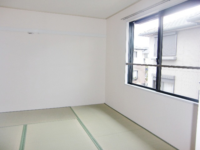 Other room space. Beautiful tatami