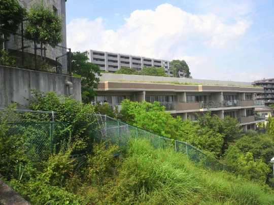 Local appearance photo. It is the state of appearance.