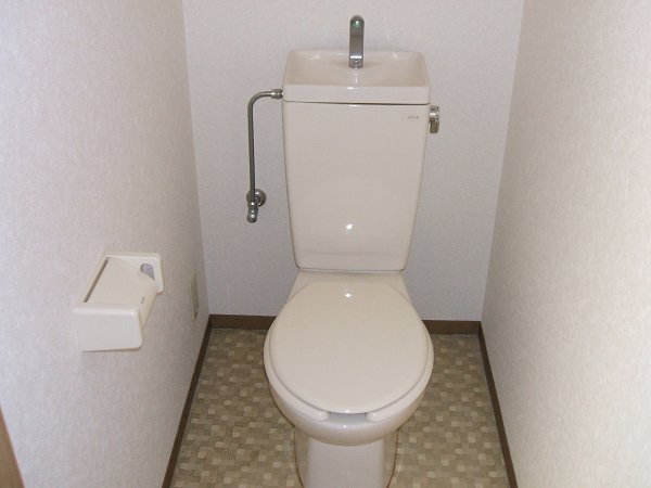 Other. Toilet