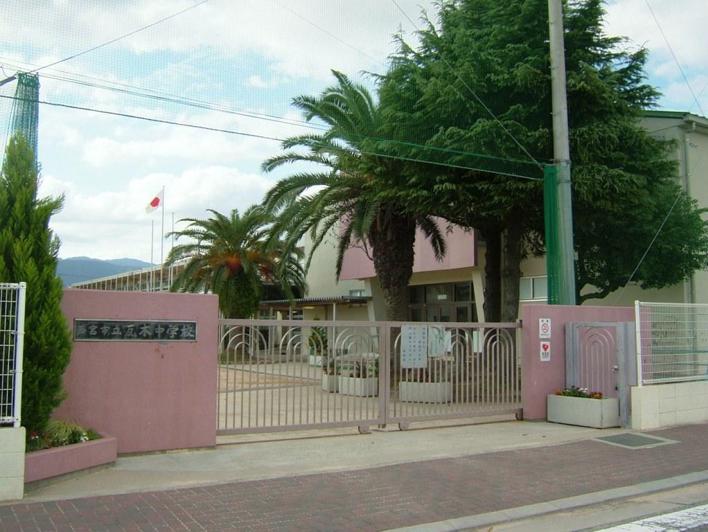 Junior high school. 465m to Nishinomiya Tatsukawara tree junior high school (junior high school)