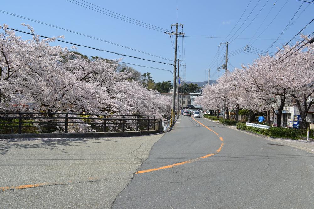 Local photos, including front road. In the spring cherry blossom trees