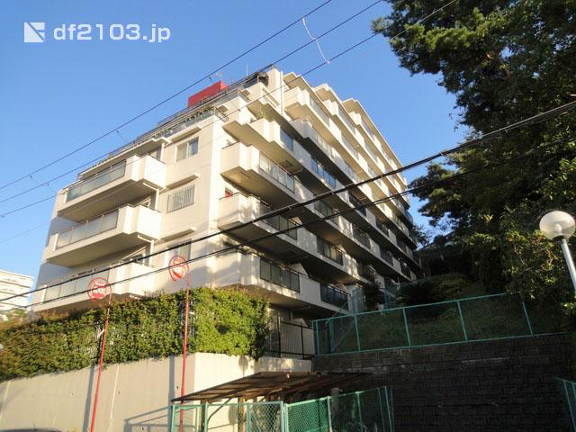 Local appearance photo. Local (August 2012) shooting