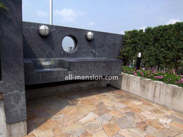 Other common areas. Roof garden