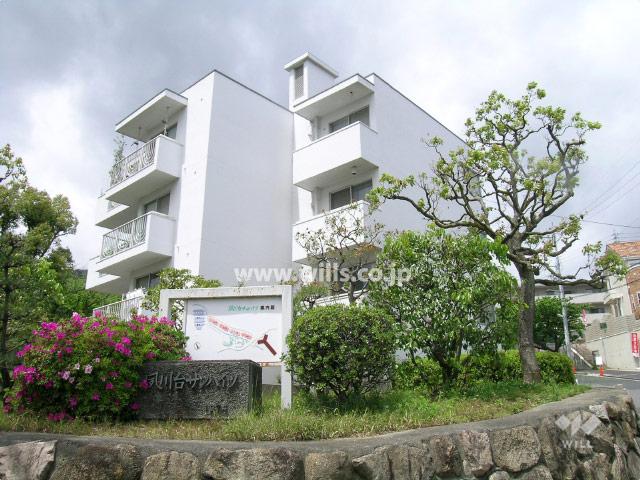 Local appearance photo. From the south