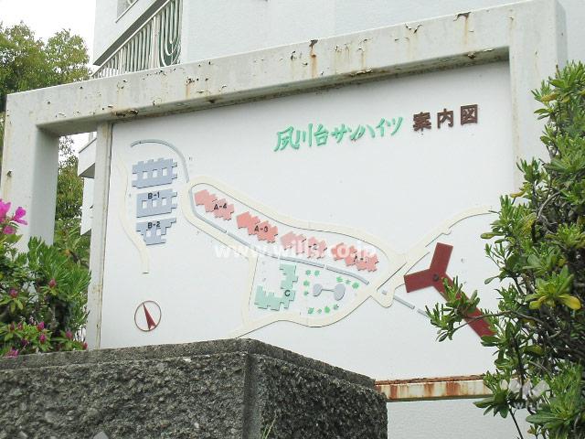 Other local. Site layout