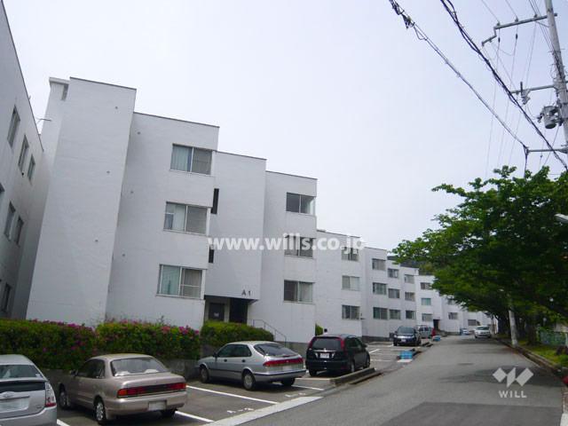 Local appearance photo. From the southeast side