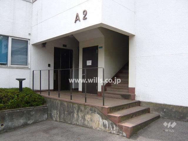 Entrance. Common areas