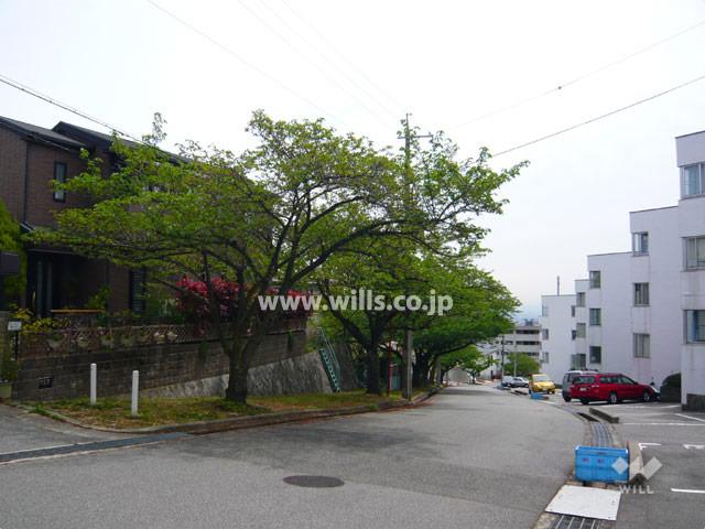 Local appearance photo. The north side of the site is facing the cherry trees