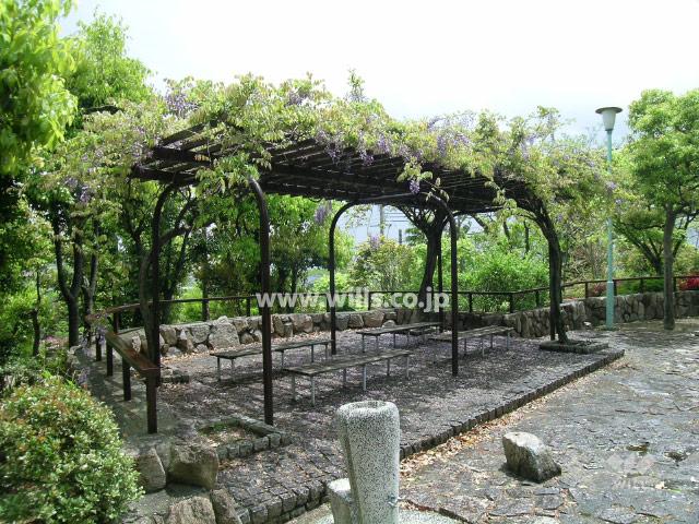 Other local. Wisteria trellis in the park on site
