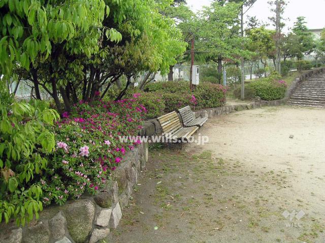 Other local. Park on the site south