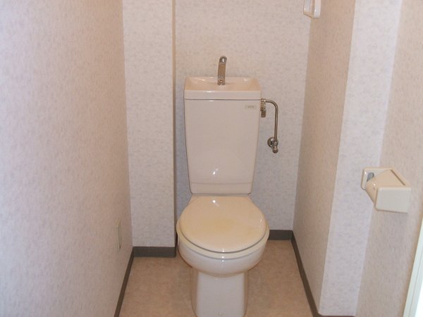 Other. Toilet