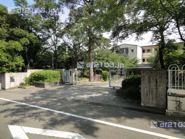 Junior high school. 389m to Nishinomiya Tatsukabuto Ling junior high school