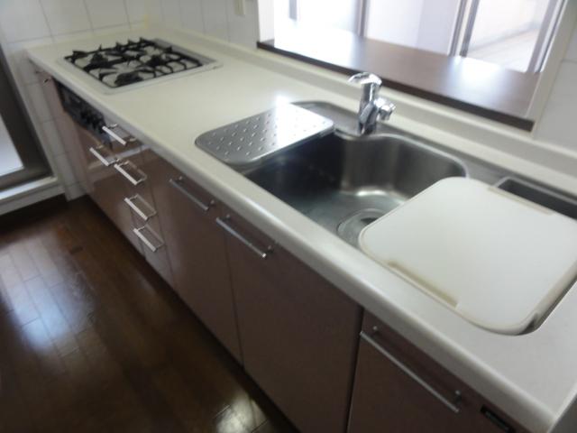 Kitchen. With counter face-to-face kitchen