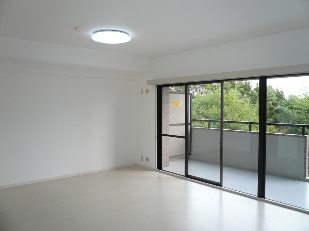 Living. Living is spacious 18 Pledge. Baseboards also unified in white, And finished with a fine simple modern space.